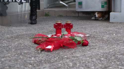 Γυναικοκτονία Κυριακής Γρίβα: Δεν ολοκληρώθηκε η ΕΔΕ - Καρφιά κατά της αστυνομίας από τους συνηγόρους της οικογένειας