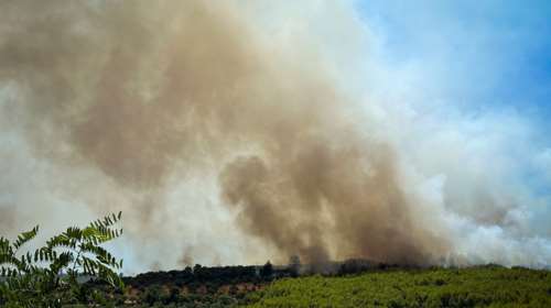 Άγιος Στέφανος: Στο αυτόφωρο ο 87χρονος που έκαιγε ξερά χόρτα - Κατηγορείται για εμπρησμό από πρόθεση