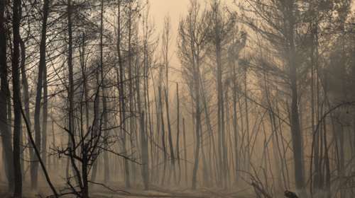 Προφυλακίστηκαν οι κατηγορούμενοι για εμπρησμούς σε Κρυονέρι,  Πετρούπολη, Πεδίον του Αρεως