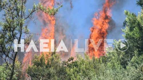 Ηλεία: Μεγάλη φωτιά σε δασική έκταση στον Πύργο - Επιχειρούν ισχυρές δυνάμεις της Πυροσβεστικής
