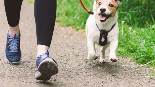 Περπάτημα: Πόσα βήματα πρέπει να κάνουμε καθημερινά για να παραμείνουμε υγιείς - Πώς μειώνεται ο κίνδυνος πρόωρου θανάτου