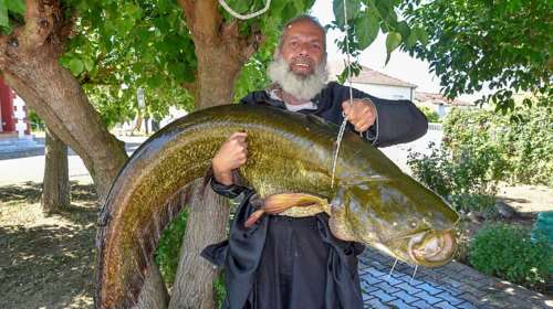 Ψάρι – γίγας 35 κιλών &quot;έβγαλε&quot; Ιερέας από τον Πηνειό ποταμό (φωτο)