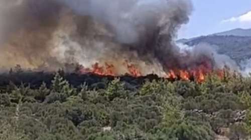Λασίθι: Σε μερικό έλεγχο η φωτιά στο Βαθύ - Διάσπαρτες εστίες, πνέουν ισχυροί άνεμοι - Μήνυμα 112, σηκώθηκαν τρία ελικόπτερα