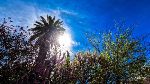 Από Απρίλιο… καλοκαίρι: Χτύπησε 30άρι ο υδράργυρος- Ζέστη και την Κυριακή με πρόσκαιρη αλλαγή στα ανατολικά