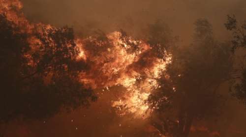 Υπό έλεγχο η φωτιά στο Λαύριο Αττικής: Αμεση η επέμβαση της Πυροσβεστικής