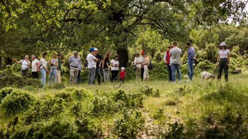 Στις 3 Μαρτίου ξεκινά το Κυνήγι Τρούφας στα Μετέωρα