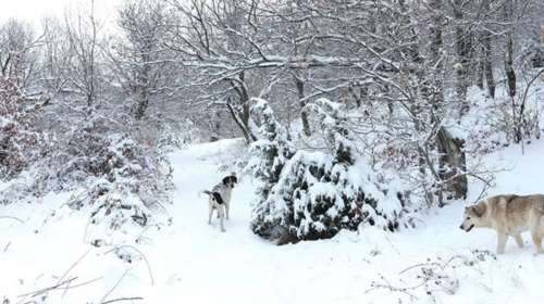 Εκτακτο δελτίο από την ΕΜΥ: Ψυχρή εισβολή και πτώση της θερμοκρασίας από την Κυριακή - Σε ποιες πόλεις θα χιονίσει