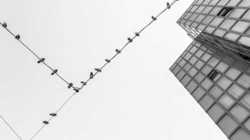 URBAN: Η πρώτη έκθεση φωτογραφίας του Calderone για φέτος στον Βοτανικό