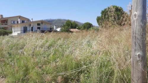 Ακαθάριστα οικόπεδα: Παράταση έως τις 30 Ιουνίου για τις δηλώσεις στην ψηφιακή πλατφόρμα