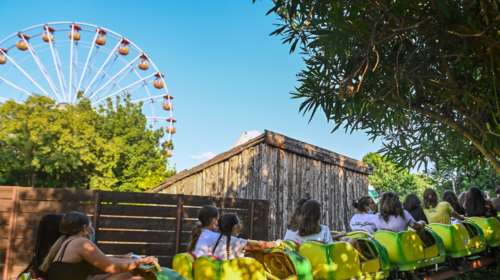 Allou Fun Park: Νέα καταγγελία για το τρενάκι που τραυματίστηκαν οι 4 νέοι – &quot;Δεν κινήθηκα νομικά γιατί με εκφόβισαν&quot;