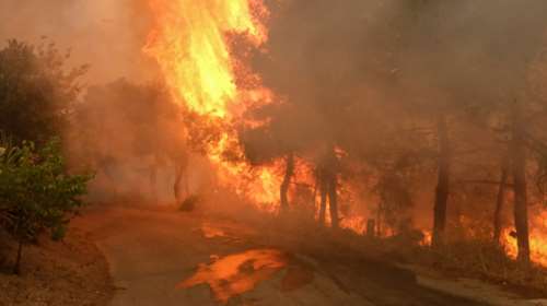 Φωτιά στα Μέγαρα: Μετά από σκληρή μάχη έχει περιοριστεί δυτικά από τη Ζάχουλη - Δεύτερο μικρό μέτωπο προς Πευκενέα