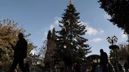 Χριστούγεννα 2025: Από που θα έρθει το δέντρο που θα στολιστεί φέτος στο Σύνταγμα