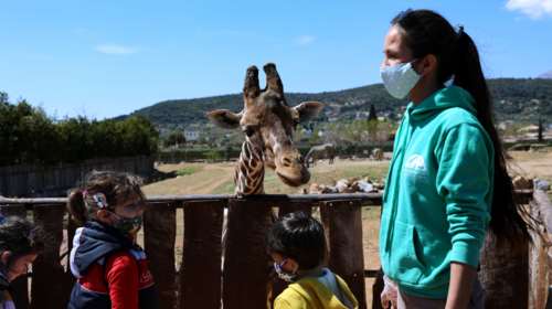 Αττικό Ζωολογικό Πάρκο: Άνοιξε για τους επισκέπτες - Μόνο με ηλεκτρονικό εισιτήριο και κατόπιν ραντεβού
