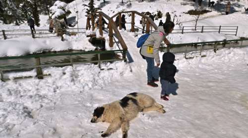 Πρόγνωση Μαρουσάκη: Η Avgi φεύγει, αλλά νέα κακοκαιρία έρχεται - Ψυχρό κύμα θα πλήξει τη χώρα το Σαββατοκύριακο