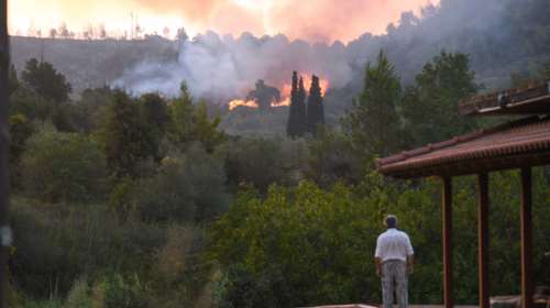 Φωτιά στην Αρχαία Ολυμπία: Εκκενώνονται 19 χωριά στην Ηλεία - Πληροφορίες για εγκλωβισμένους και καμένα σπίτια  - Τέσσερις τραυματίες