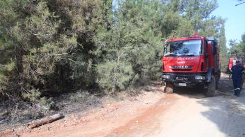 Θεσσαλονίκη: Δίωξη για εμπρησμό στον 25χρονο για τη φωτιά στο Σέιχ Σου - Περίεργες οι εξηγήσεις που έδωσε