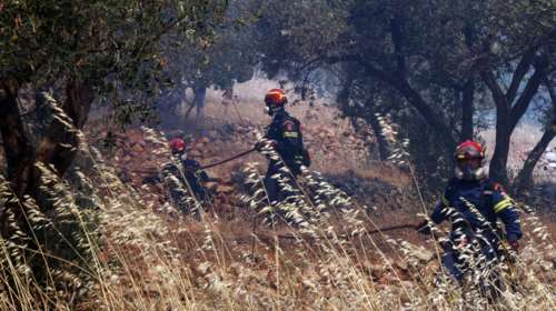 Μεγάλη φωτιά στη Λακωνία - Εστάλη 112, σηκώθηκαν πέντε εναέρια μέσα