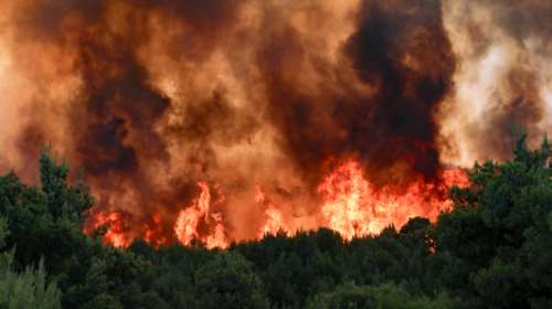 Φωτιά σε δασική έκταση στη Ρόδο - Στη μάχη της κατάσβεσης και εναέρια μέσα