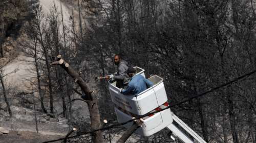 Φωτιά στη Βούλα - Μπαλάκι οι ευθύνες: Τα ξερόχορτα ήταν στα 2 μέτρα, ο ΑΔΜΗΕ δεν καθαρίζει ποτέ, λέει ο δήμαρχος Ελληνικού