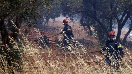 Σε ύφεση η πυρκαγιά στο Φίχτι Αργολίδας