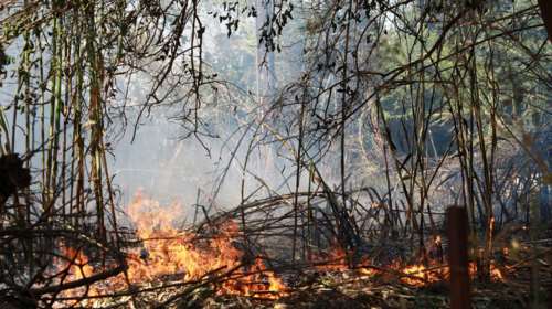 Χανιά: Πυρκαγιά κοντά σε κατοικημένη περιοχή στα Ραπανιανά – Ήχησε το 112