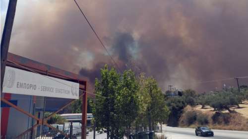 Οριοθετήθηκε η φωτιά στο Πευκόφυτο στον Άγιο Στέφανο
