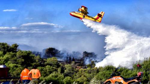 Φωτιά στη Μαγνησία: Μάχη με τις φλόγες - Κινδύνεψαν σπίτια στο χωριό Βρύναινα