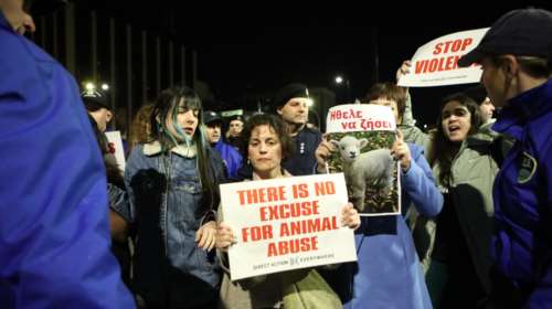 &quot;Ηθελε να ζήσει&quot;: Vegans προσπάθησαν να παρεμποδίσουν την περιφορά του επιταφίου στο Σύνταγμα [εικόνες]