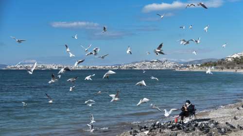 Συνεχίζεται το... γαϊδουροκαλόκαιρο: Σχεδόν 30 βαθμούς θα φτάσει ο ο υδράργυρος