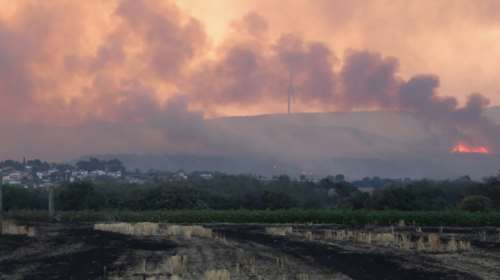 Φωτιά στην Αλεξανδρούπολη: Νέα εστία στο δάσος της Δαδιάς - Μήνυμα 112 για εκκένωση του οικισμού Άβαντα