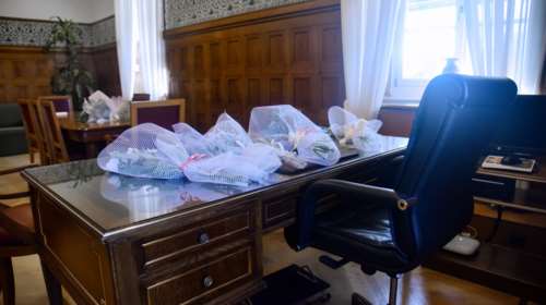 Φώφη Γεννηματά: Πλημμύρισε με λευκά λουλούδια το γραφείο της στη Βουλή [εικόνες]