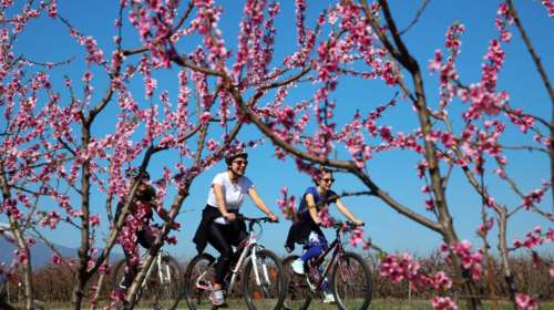 Τι καιρό θα κάνει όλη τη Μεγάλη Εβδομάδα: Από καταιγίδες σε... άνοιξη - Πώς θα σουβλίσουμε