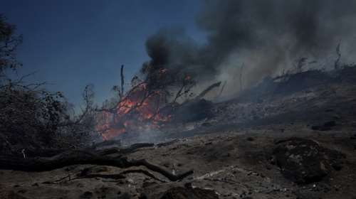 Φωτιά στην Ύδρα: Καίγεται χαμηλή βλάστηση - Ισχυροί άνεμοι στην περιοχή