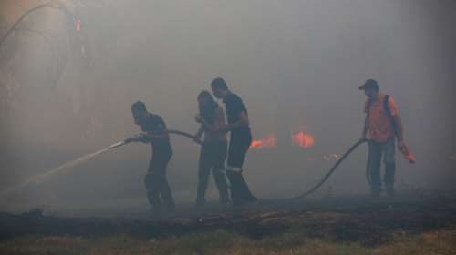 Φωτιά στη Μεσσηνία: Διάσπαρτες εστίες αλλά καλύτερη η εικόνα - Ξεκίνησαν να επιχειρούν τα εναέρια μέσα