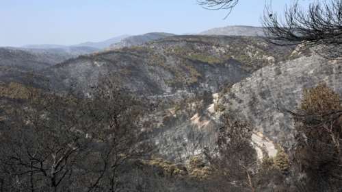 Φωτιά στη Μάνδρα: Συνελήφθη άνδρας για εμπρησμό από αμέλεια - Απλώς του επιβλήθηκε πρόστιμο