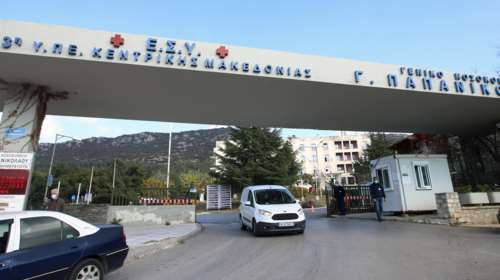 Θεσσαλονίκη: Μάχη για τη ζωή της δίνει η ερπετολόγος μετά το δάγκωμα της οχιάς - Πώς έγινε το ατύχημα