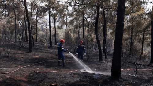 Θεσσαλονίκη: Οριοθετήθηκε η φωτιά στο Σέιχ Σου - Δεν κινδύνεψαν κατοικίες και ανθρώπινες ζωές [εικόνες - βίντεο]