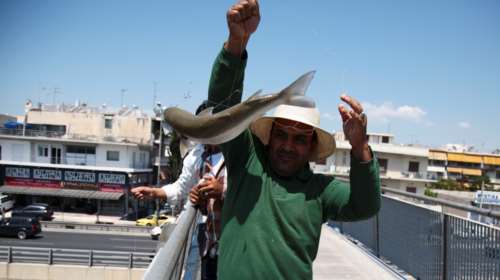 Απίστευτο: Ψαρεύουν κεφαλόπουλα στον Κηφισό- Στο ύψος του Ρέντη  [εικόνες]