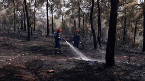 Θεσσαλονίκη: Συναγερμός στην Πυροσβεστική για φωτιά στο Σέιχ Σου
