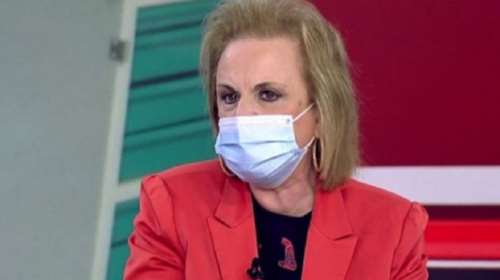 Παγώνη για ευλογιά των πιθήκων: Πολύ πιθανόν να έρθει και στη χώρα μας, αλλά είναι αντιμετωπίσιμη [βίντεο]