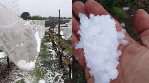 Xαλάζι στην Καβάλα: Τελειωτικό το χτύπημα στις καλλιέργειες [εικόνες]