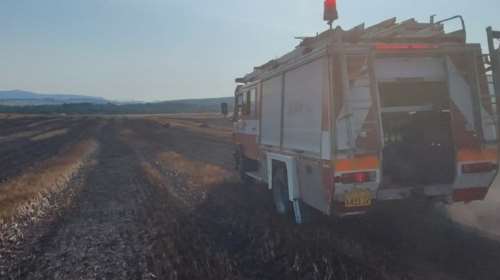 Θεσσαλονίκη: Φωτιά στην Άσσηρο - Στη μάχη ελικόπτερο και 23 πυροσβέστες με έξι οχήματα