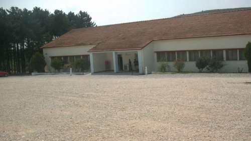 Κάλυμνος: Συνελήφθη 21χρονος για revenge porn – Την &quot;τιμώρησε&quot; επειδή χώρισαν