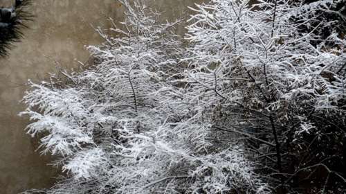 Άσπρισε η Θεσσαλονίκη: Έπεσαν τα πρώτα χιόνια στα ορεινά [εικόνες - βίντεο]