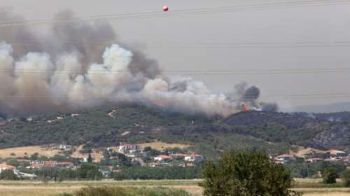 Φωτιά στην Αλεξανδρούπολη: 4 ενεργά μέτωπα - Ασθενέστεροι σήμερα οι άνεμοι