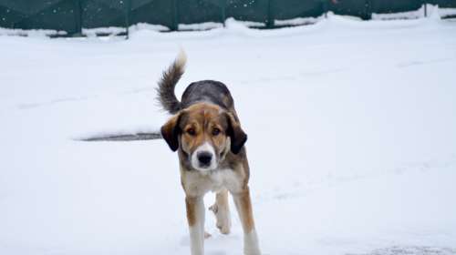 Άνεμοι, βροχές και τα πρώτα χιόνια: Ο καιρός της Κυριακής μας βάζει στον χειμώνα