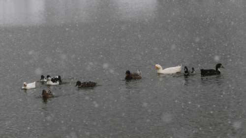 Meteo: Παγετός σήμερα το πρωί - Οι 8 περιοχές που "ξύπνησαν" με -5