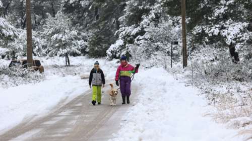 Μερομήνια 2024: Τι καιρό θα κάνει τα Χριστούγεννα και την Πρωτοχρονιά - Η πρόβλεψη για πανελλαδικό χιονιά