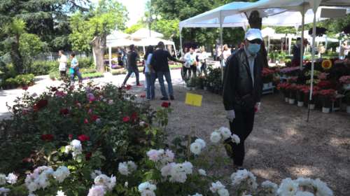 &quot;Πρεμιέρα&quot; για την 66η Ανθοκομική Έκθεση Κηφισιάς