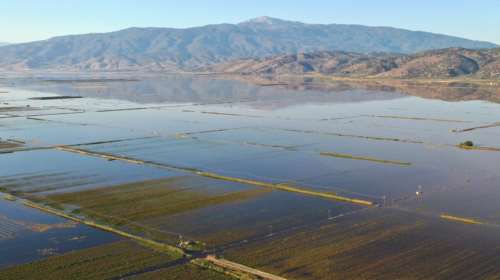 Αγαπηδάκη: Συνολικά 46 κρούσματα γαστρεντερίτιδας στη Θεσσαλία - Τα τρία οφείλονται στις πλημμύρες